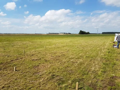 Independent Pasture Trial shows EMNZ Products Enhance Production, Clover and help to reduce Nitrogen