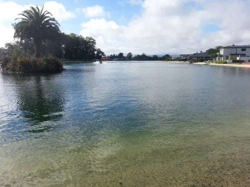 Lake Treatment