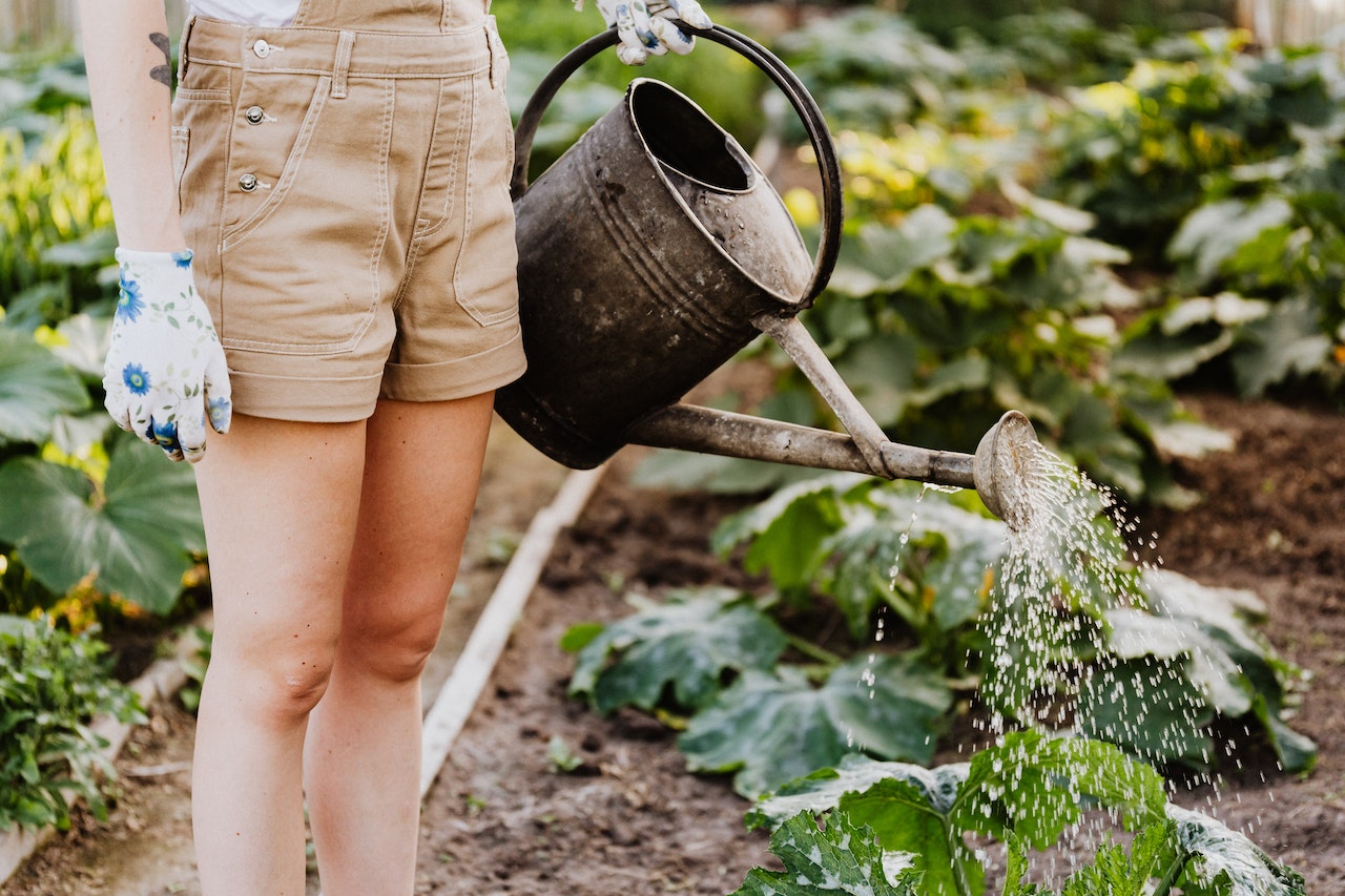 Preparing the Soil for Spring Planting | EMNZ Organic Fertiliser