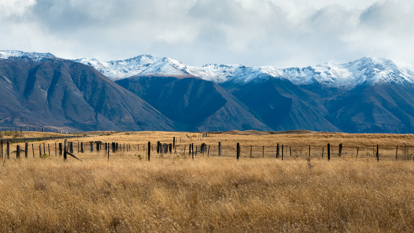 Enhancing Drought Recovery