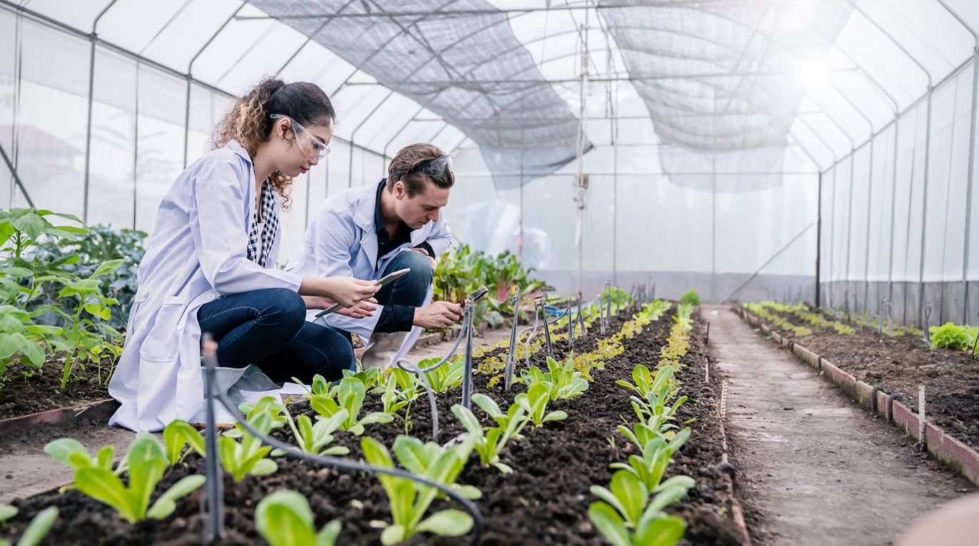 Effective Microorganisms: Revolutionising Greenhouse and Nursery Management