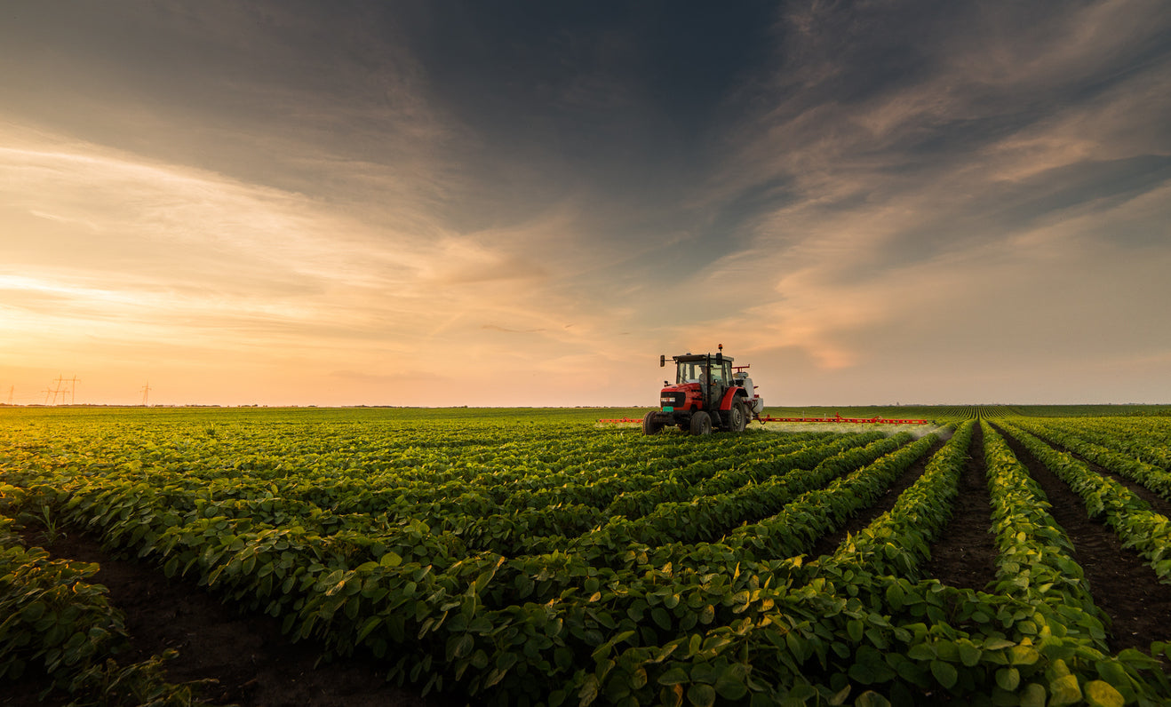 Reduce Chemical Use: The Role of EM in Organic Farming Practices